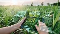 Agrifoodtech italiano, calano gli investimenti ma cresce il numero di startup