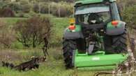 Perugia, un agricoltore di 69 anni si ribalta col trattore e muore