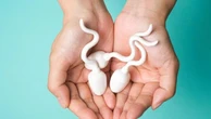 Effetto devastante dell’inquinamento sugli spermatozoi: fertilità cambia a seconda di dove si vive