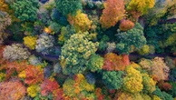 "Per ripartire dopo il Covid cerchiamo la Bellezza e la natura", la ricetta di Giuseppe Cederna