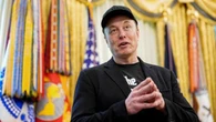 Musk lancia l’America Party: “Restituirà la libertà agli Stati Uniti”