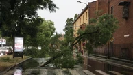 Maltempo, a Bologna caduti oltre 300 alberi. Quasi tutti i parchi restano chiusi