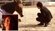 Reggio Emilia, Elisabeth Halg muore nel cortile di casa: “Colpita dallo zoccolo di un cavallo”