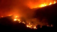 Spagna incendi nel sud del paese: a Tarifa distrutte abitazioni ed evacuate 1500 persone