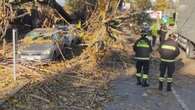 Il vento spazza la Lombardia: alberi abbattuti e tetti scoperchiati a Milano e Varese