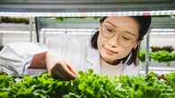 Food-tech, mercato globale oltre i 600 miliardi entro il 2033