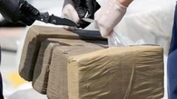 Fiumi di cocaina dal Sud America e piantagioni di canapa: 21 arresti a Reggio Calabria