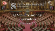 Senato, Question Time con Tajani, Crosetto e Calderone - la diretta