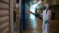 L’arrivo dei virus tropicali in Italia, scattano le disinfestazioni straordinarie. I sintomi