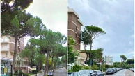 Milano Marittima, com’era e com’è dopo il nubifragio che ha fatto crollare centinaia di alberi