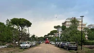 Riviera, il giorno dopo il disastro. A Cervia pinete chiuse, strade ripulite. “Turisti in spiaggia”