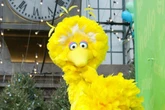 Sesame Street coming to Netflix later this year as HBO Max deal ends