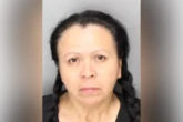 Michigan woman accused of hit-and-run didn’t have valid license: cops