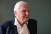 David Attenborough almost drowned due to faulty scuba diving equipment