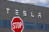 Tesla sales slump once again as Musk pays price for Trump ties