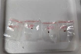 Two Chinese scientists arrested for smuggling toxic fungus into US