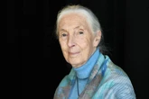 Jane Goodall cause of death revealed after chimp expert dies aged 91