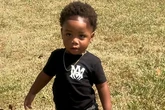 Babysitter charged with murder after boy was mauled to death by dogs