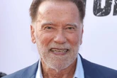 Arnold Schwarzenegger makes surprise return to hit franchise