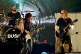 Alice in Chains cancel concert after member’s ‘medical emergency’