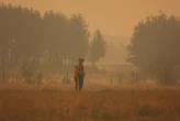 «Il 2023 sarà l’anno più caldo mai registrato sulla Terra»: la previsione di Copernicus