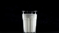 Aviaria nelle mucche, cosa significa il divieto dell’Oms sul consumo del latte crudo (che non riguarda quello pastorizzato)