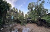 Milano, nubifragio si abbatte sulla città: in 10 minuti pioggia forte e alberi caduti. L’assessore: «Allerta arancione fino a mezzanotte» – I video