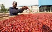 Kenya’s Second Budget Amid Covid-19 Prioritises Economic Recovery
