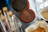 Banana peel coasters? Michigan is turning food waste into something useful