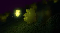 This drug that lights up cancer cells under infrared light is making tumor removal more precise for surgeons