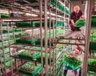 This company is turning empty offices across America into farms