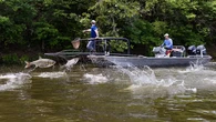 Giving your pets this treat makes them soldiers in the battle against invasive carp