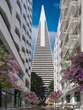 An exclusive look inside the $1 billion renovation of San Francisco’s Transamerica Pyramid