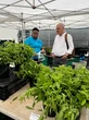 Mark Bittman’s new restaurant doesn’t plan to make money