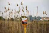 Under Trump’s emergency order, this pipeline through the Great Lakes wetlands could get fast-tracked
