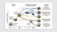 Managers rethink ecological scenarios as threats rise amid climate change