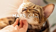 Mars Petcare teams with mental health company Calm to help your pet become your ‘well-being superhero’