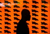 Is ‘de-extinction’ here? How gene editing can help endangered species