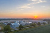 Why James Dyson got into vertical farming