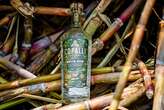 After losing millennials, can rum make a comeback with Gen Z?