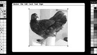 Apple’s legendary HyperCard inspired this cool free app