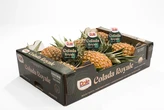 If you like piña coladas and getting caught in the rain, Dole has a new fruit for you