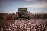Inside Walmart’s ambitious plan to make your clothes in America again