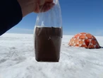These ‘giant’ viruses could be a solution to melting Arctic ice