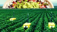 Chipotle is investing in companies that make robots and fertilizer from artificial lightning