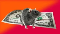 The gross reason Family Dollar’s Arkansas warehouse earned the largest-ever food-safety fine of $42 million