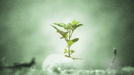 At Davos, ESG begins a quiet rebranding—here’s what that looks like