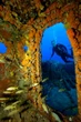 Sunken ships, voting machines, and oil rigs—how artificial reefs are changing the ocean