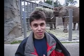 La première vidéo YouTube fête ses 20 ans aujourd’hui et elle a changé le monde