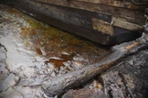 Environmental pollution, cause of low life expectancy in Nigeria ― Survey